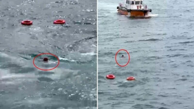 Vapurdan denize düştü! O anlar kamerada