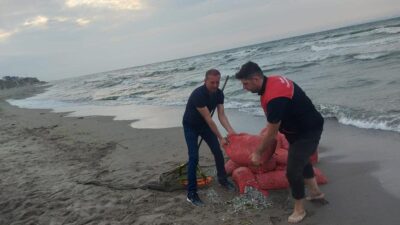 Bursa’da kaçak avlanılan 5 bin 500 kilo kum şırlanı denize bırakıldı