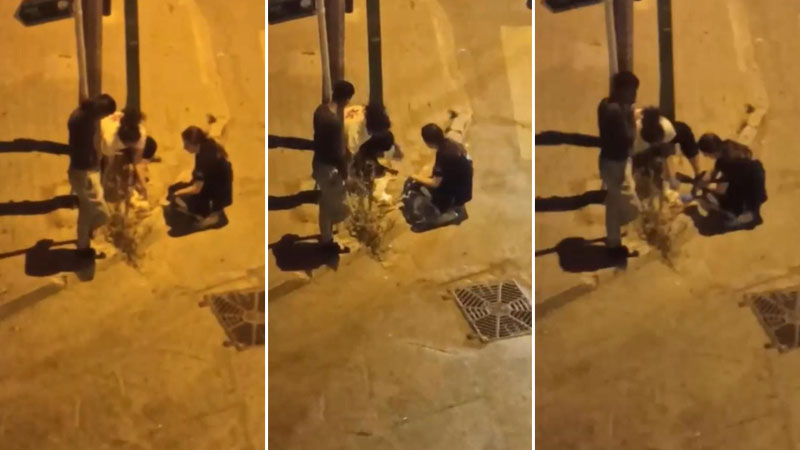 Bursa’da otomobil kediye çarptı! Hemşireler dakikalarca kalp masajı yaptı Bursa’da otomobil kediye çarptı! Hemşireler dakikalarca kalp masajı yaptı