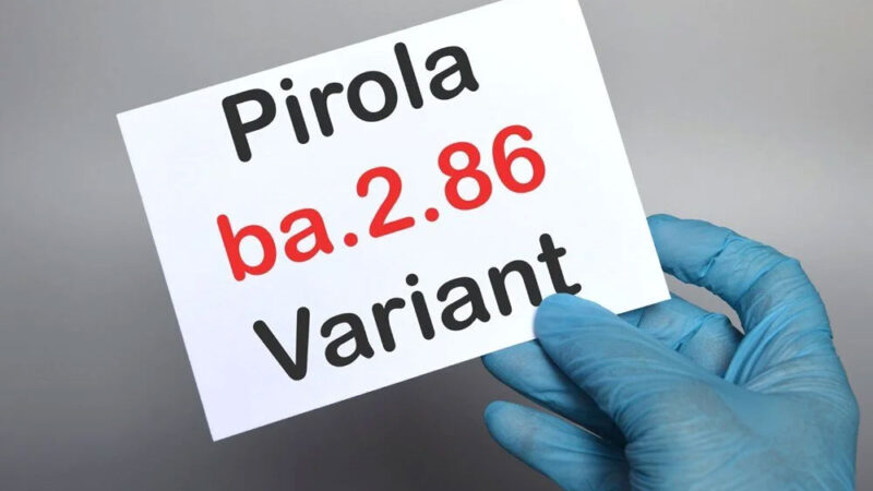 Bilim insanlarından uyarı: Covid-19’un Pirola varyantı daha bulaşıcı Dünya genelinde yeni tip corona virüs (Covid-19) vakaları artışa geçerken,