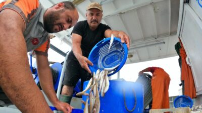 Tezgahlarda mezgit bereketi