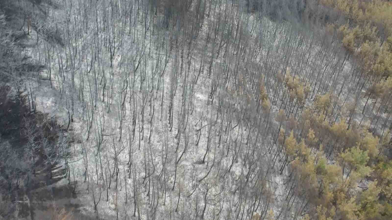 Bursa’daki yangınının bilançosu ağır oldu Bursa’daki yangınının bilançosu ağır oldu