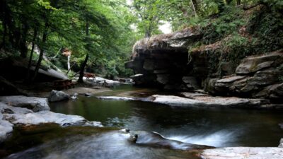 Bursa’da görsel renk cümbüşü!