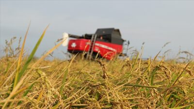 Tarımsal üretimde yeni dönem