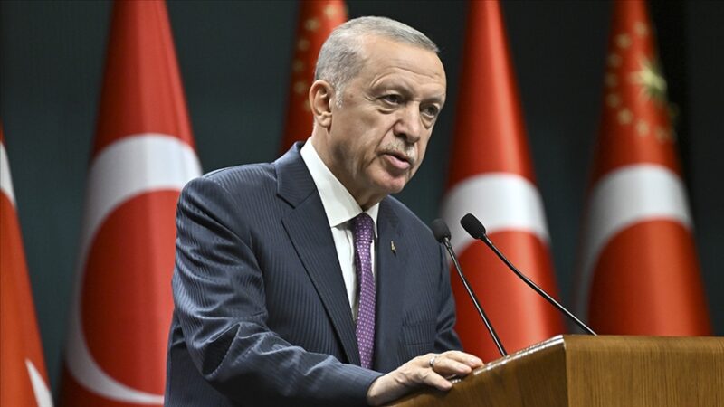 Cumhurbaşkanı Erdoğan, CHP Diyarbakır Milletvekili Sezgin Tanrıkulu'nun Türk Silahlı Kuvvetleri