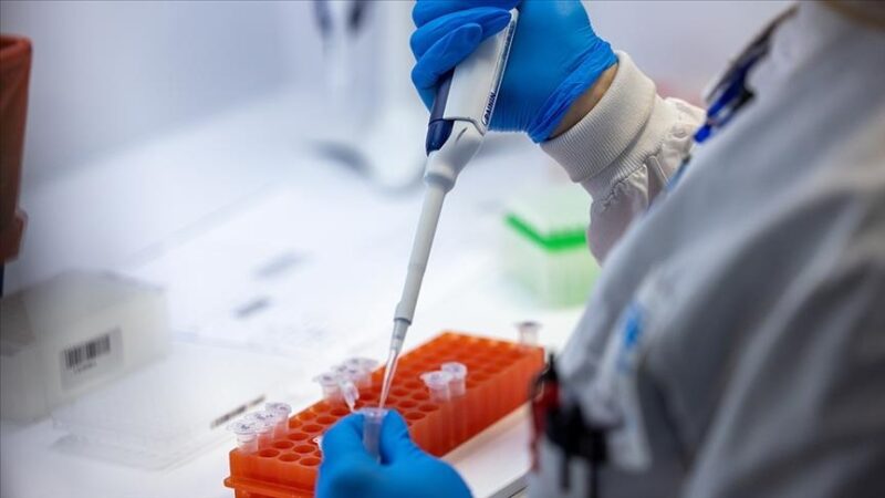 Ankara Üniversitesi Tıp Fakültesi Enfeksiyon Hastalıkları Ana Bilim Dalı Başkanı