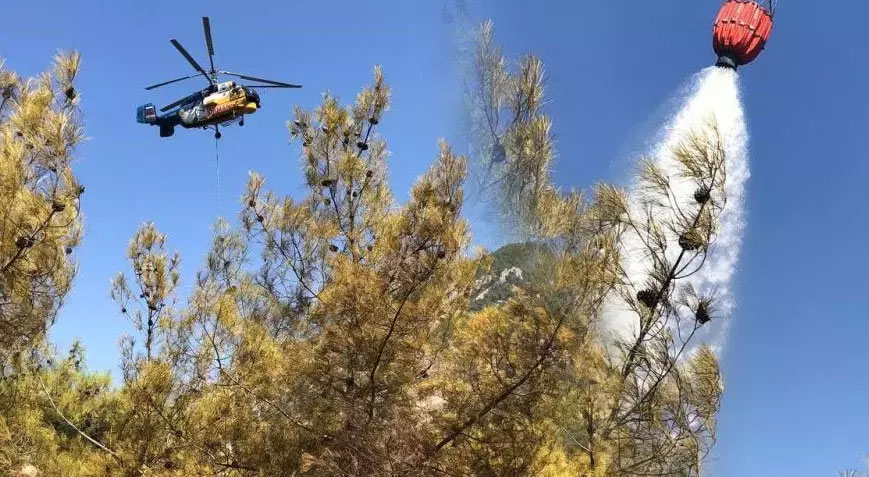Orman yangını söndürüldü! 2 hektar alan zarar gördü Orman yangını söndürüldü! 2 hektar alan zarar gördü