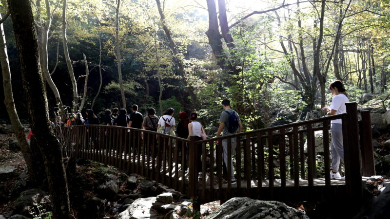 Bursa’da doğaseverlerin yeni rotası! Bursa Büyükşehir Belediyesi tarafından yeni yürüyüş rotalarının turizme kazandırılması amacıyla