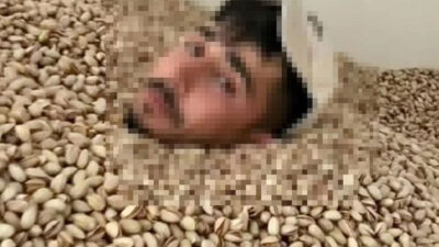 Fıstık deposunda tepki çeken görüntü