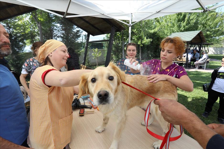 İnegöl’de 4 Ekim Hayvanları Koruma Gününe renkli kutlama