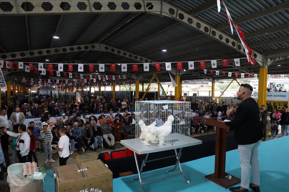 Bursa’daki bu festivale 40 bin ziyaretçi geldi!