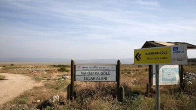 Acı görüntü! Tamamen yok oldu