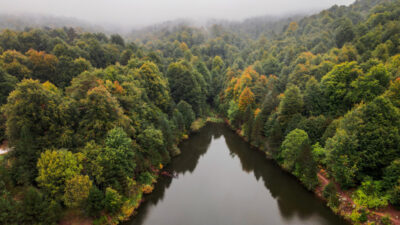 Bursa sınırları içindeki orman sonbahar renkleriyle büyülüyor…