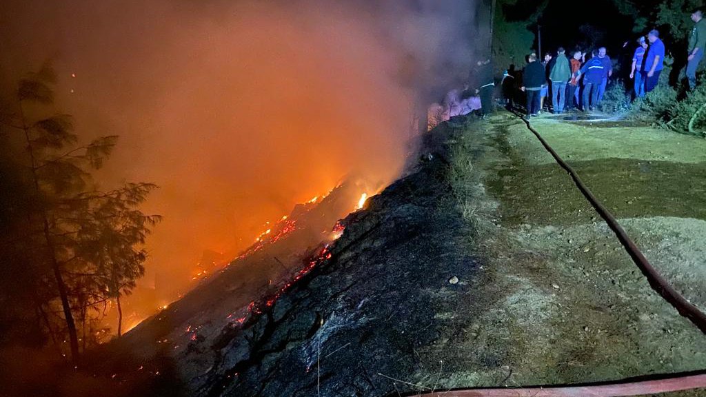 Muğla’da orman yangını