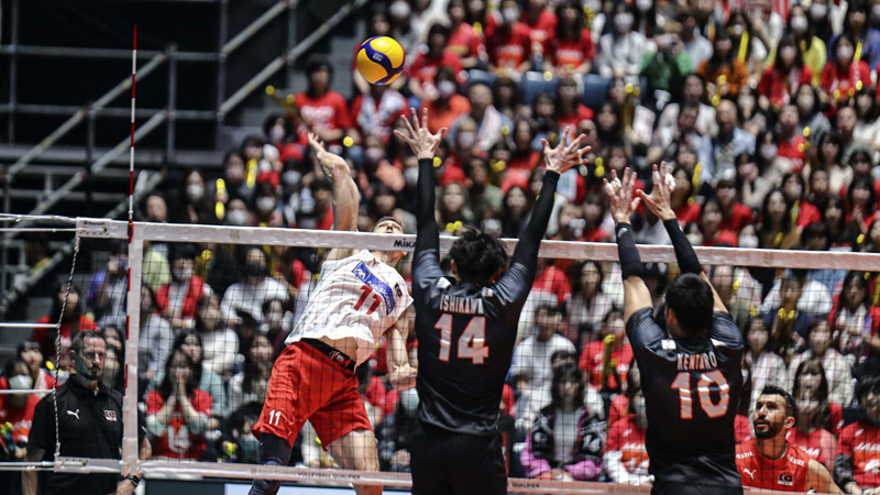 Filenin Efeleri mağlup Filenin Efeleri mağlup