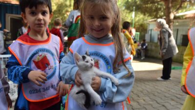 Yıldırım’da sokak hayvanları emin ellerde