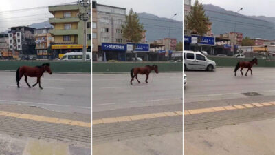 Görüntüler Bursa’dan… Trafiği tehlikeye attı