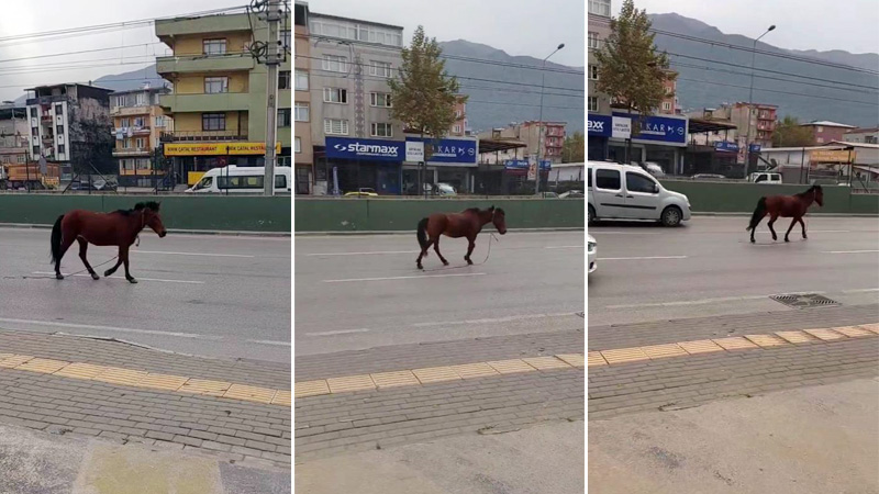 Görüntüler Bursa’dan… Trafiği tehlikeye attı