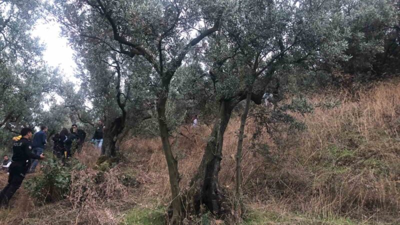 Bursa’da korkunç olay! Cesedi bulundu… Bursa’nın Gemlik ilçesinde zeytinlik alanda kadın cesedi bulundu.