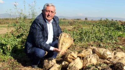 Bursalı çitçiler bu ürünün fiyatından memnun değil!