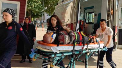 Yer: Bursa… İncir toplarken…