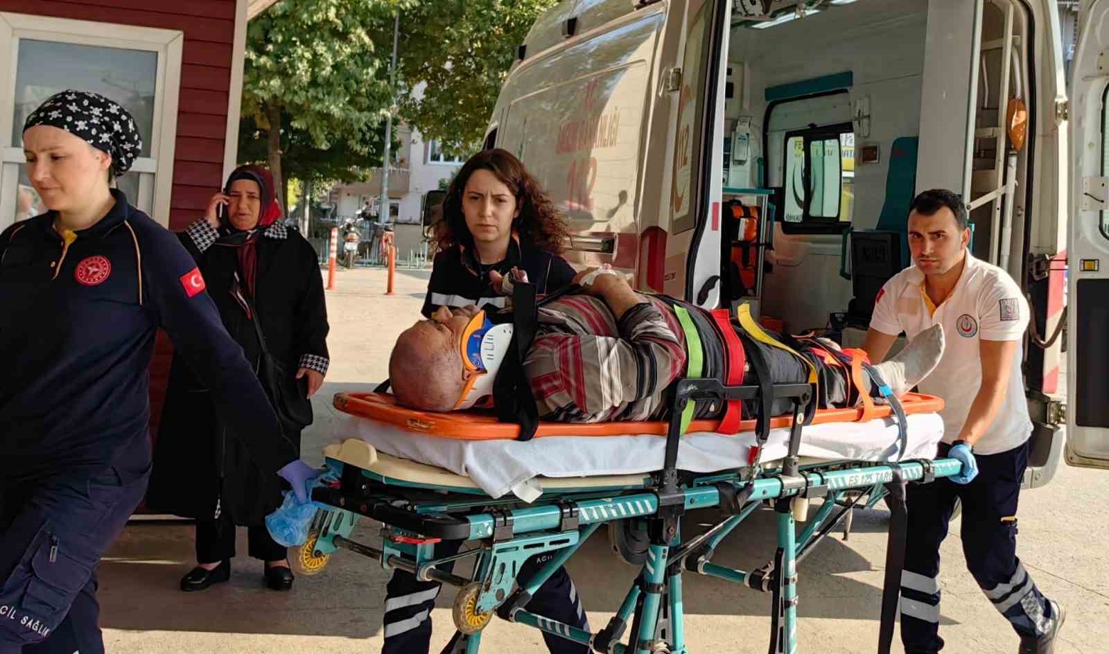 Yer: Bursa… İncir toplarken…