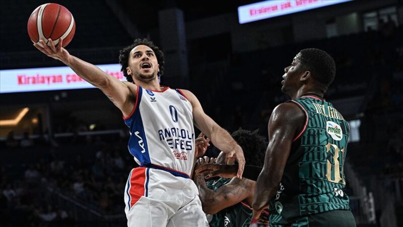 Anadolu Efes Kulübü, Gençlik ve Spor Bakanlığı Tahkim Kurulunun oyuncuları