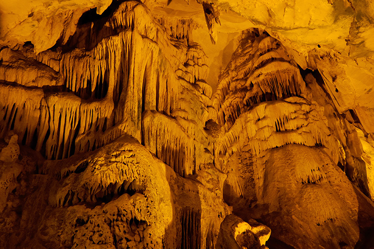 Trakya’nın tek turizme açık mağarası! Yarasalarıyla ziyaretçi çekiyor