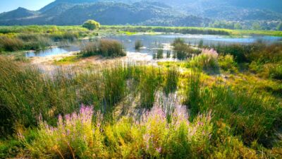 Dört mevsim ayrı güzel!