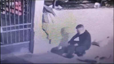 “Mama veriyorum” demişti, evinden 8 ölü kedi çıktı