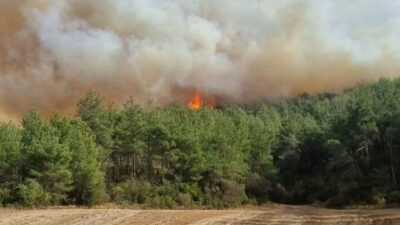 Çanakkale’de orman yangını