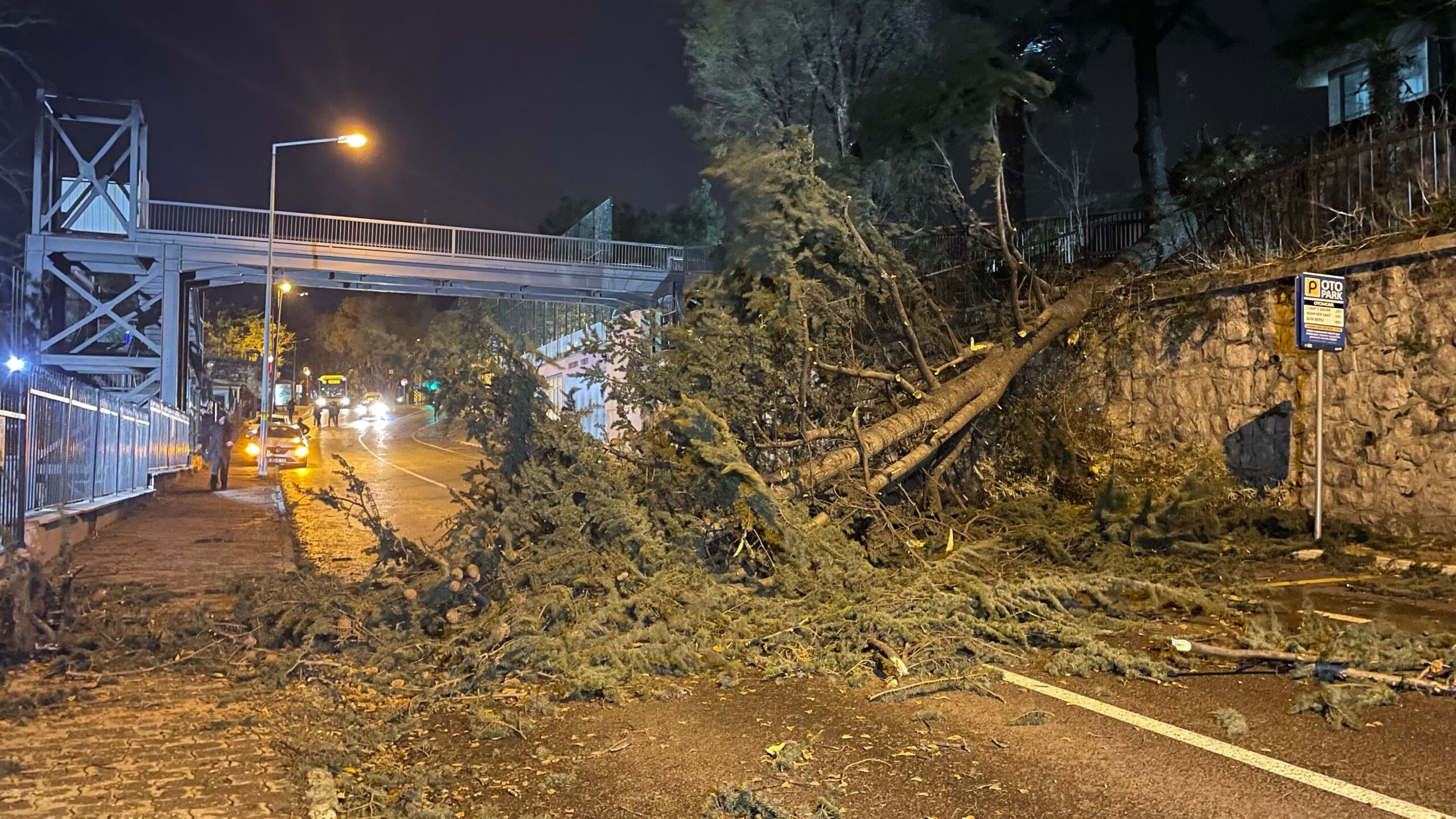 Bursa fırtınaya teslim! Ağaçlar devrildi, çatılar uçtu…
