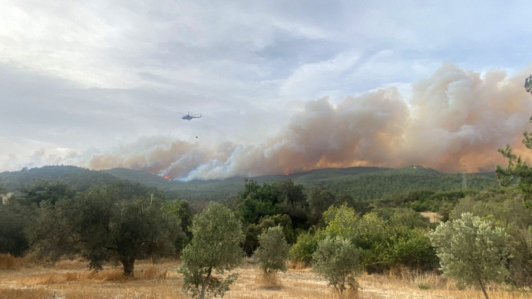 Çanakkale’deki orman yangını kontrol altına alındı