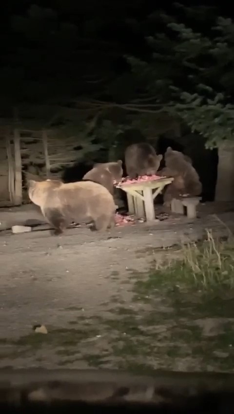 Bursa’da mekanları basınca, mekan sahipleri onlara böyle ziyafet çekti