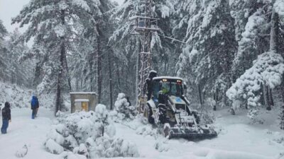 Bursa’da ağaç devrildi elektrikler kesildi!