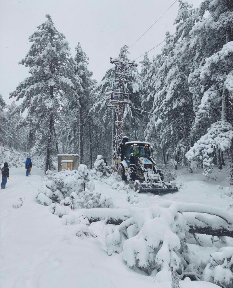Bursa’da ağaç devrildi elektrikler kesildi!