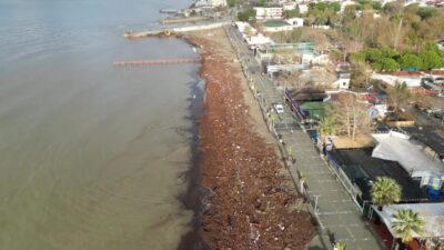 Balıkesir’de sağanak sonrası sahilde kirlilik