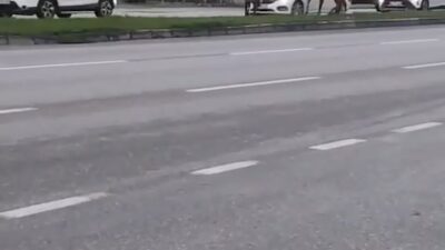 Bursa’da başı boş atlar tehlike saçıyor