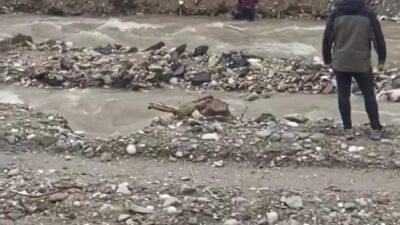 Bursa’da derede can pazarı