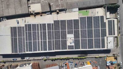 Bursa’da Tek Enerji’den 792 ağacı kurtaran adım