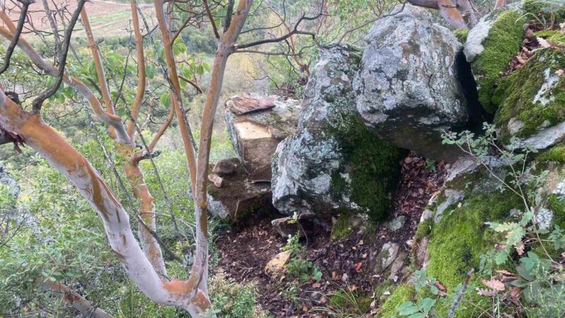 Bursa’da kaçak kazı yapanlara suçüstü! Bursa’da kaçak kazı yapan 2 şüpheli suçüstü yakalandı.
