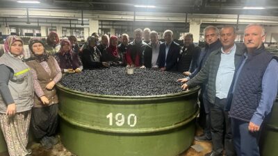 Marmarabirlik’ten 137 milyon liralık ödeme!