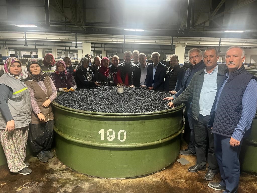 Marmarabirlik’ten 137 milyon liralık ödeme!