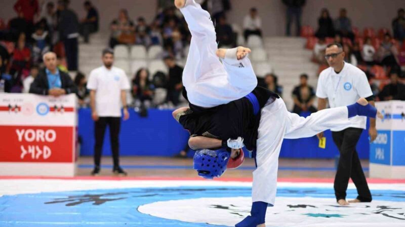 Mudanya’da alpagut rüzgarı esti 2023 Alpagut Türkiye Şampiyonası, çeşitli illerden gelen 250 sporcunun katılımıyla