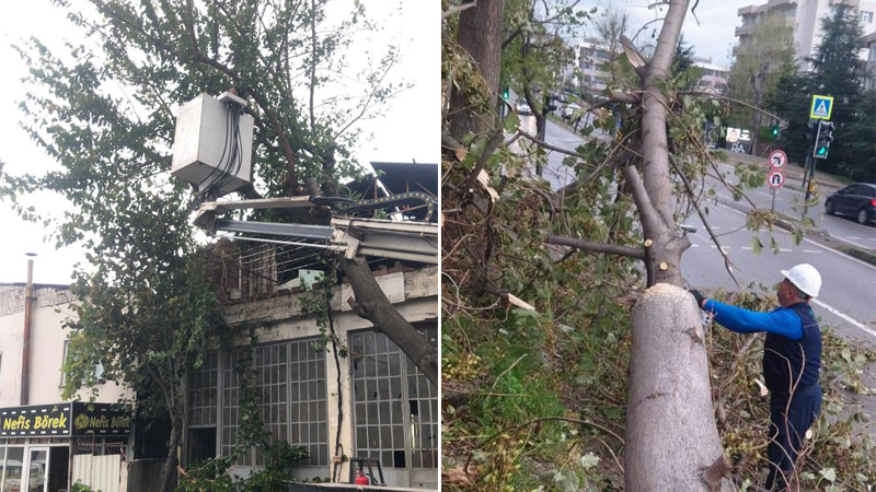 Osmangazi’de lodos mesaisi