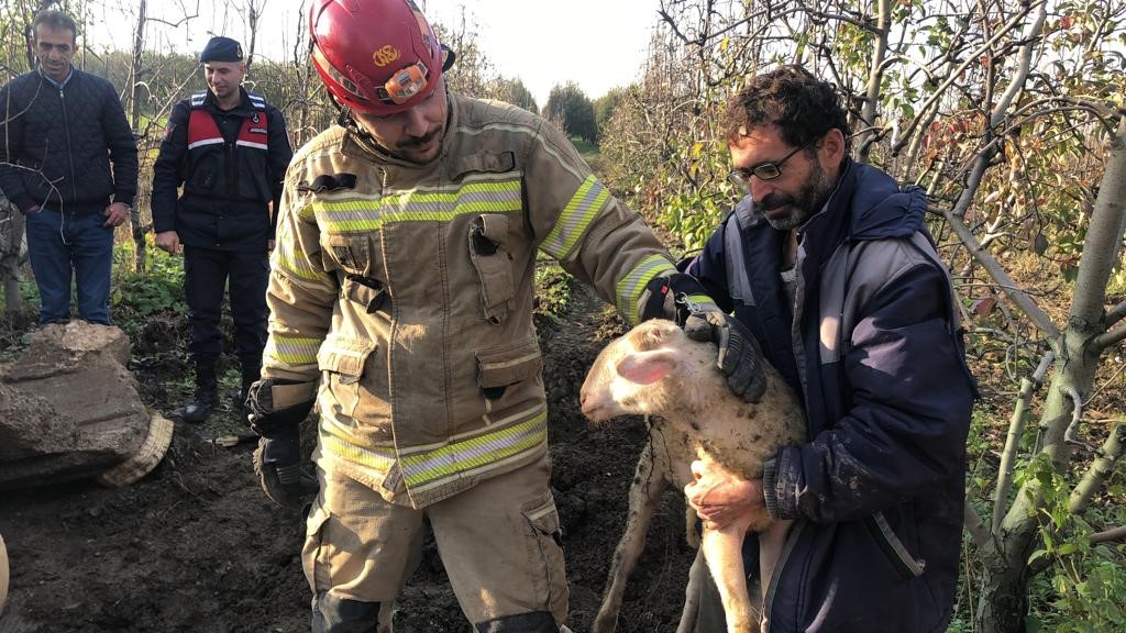 Bursa’da su kuyusunda 4 gün mahsur kalan kuzu kurtarıldı