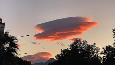 Görenlerin ilgisini çekti! İki ilde birden…