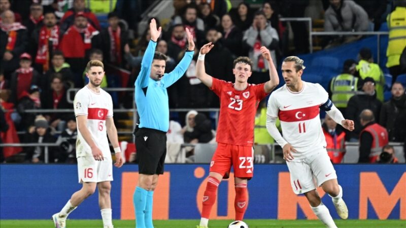 Türkiye A Milli Futbol Takımı, EURO 2024 Elemeleri D Grubu'nun