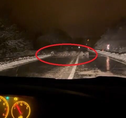 Bursa’da yiyecek bulamayan domuz sürüsü yola indi Bursa’nın dağ ilçelerinden Keles’te yoğun kar yağışı sonrası domuz sürüsü