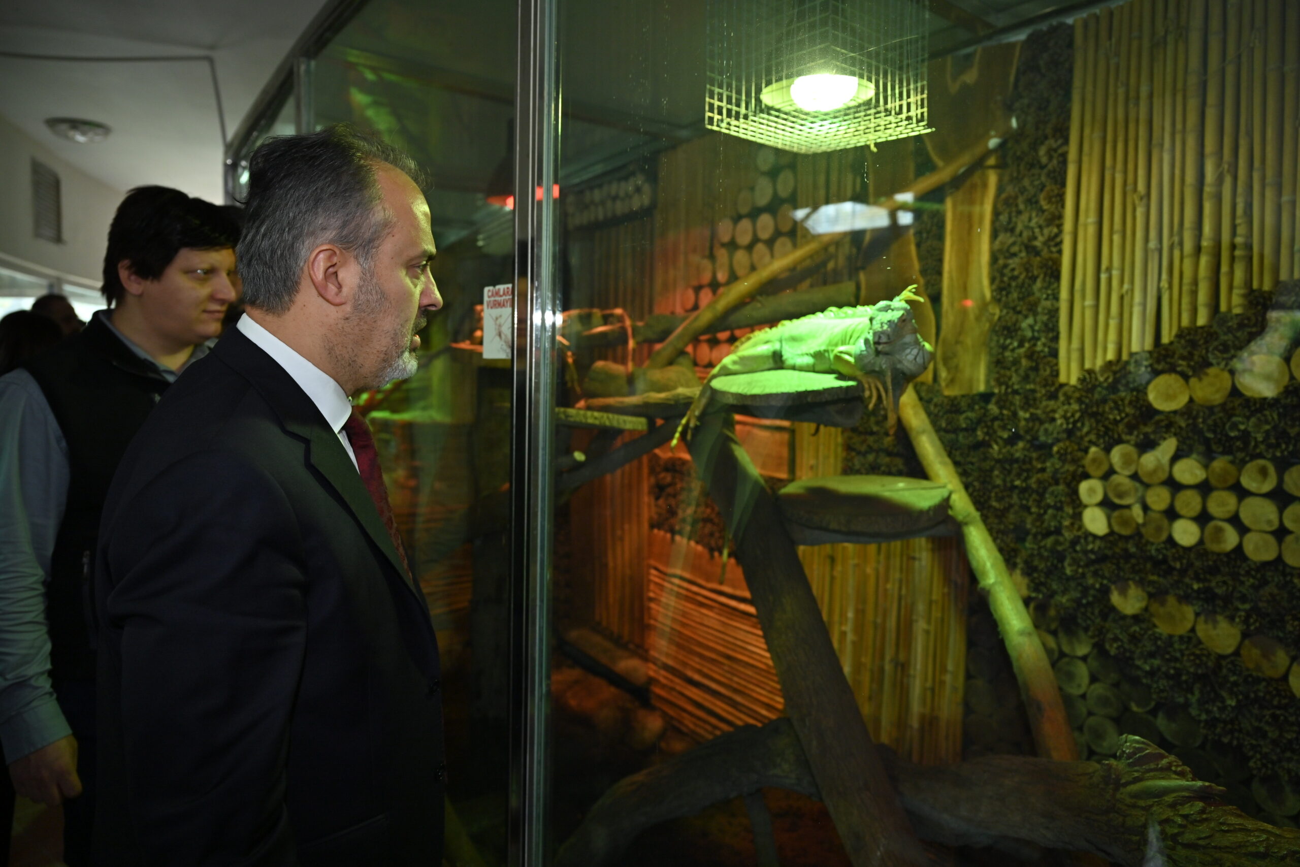 Bursa Hayvanat Bahçesi 25 yaşında Bursa Hayvanat Bahçesi 25 yaşında